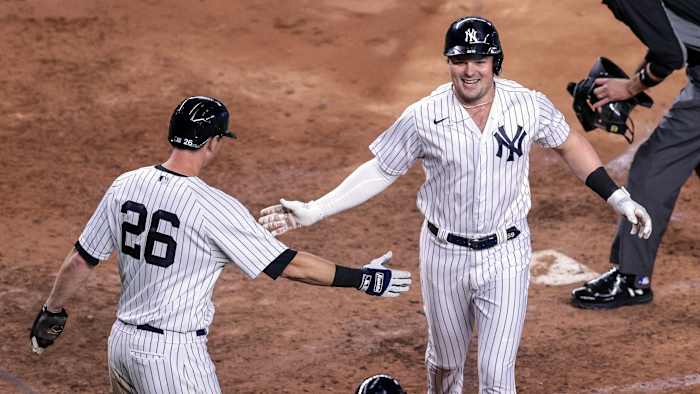 DJ LeMahieu and Luke Voit high-five
